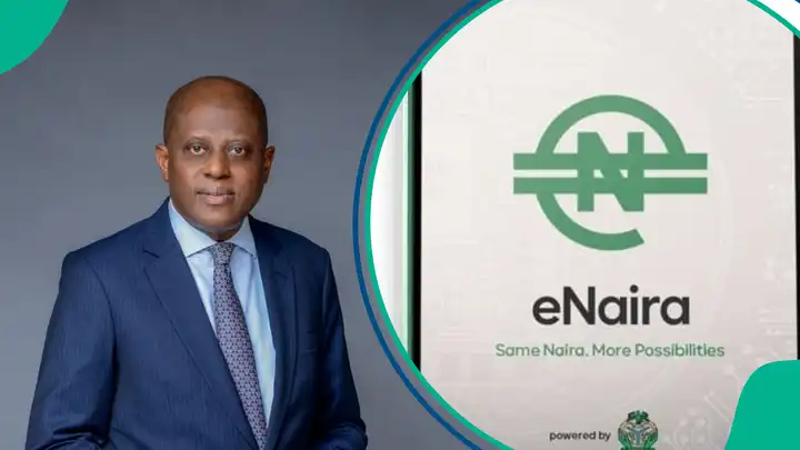CBN to Boost Financial Inclusion With eNaira, Alternative Payment Channels